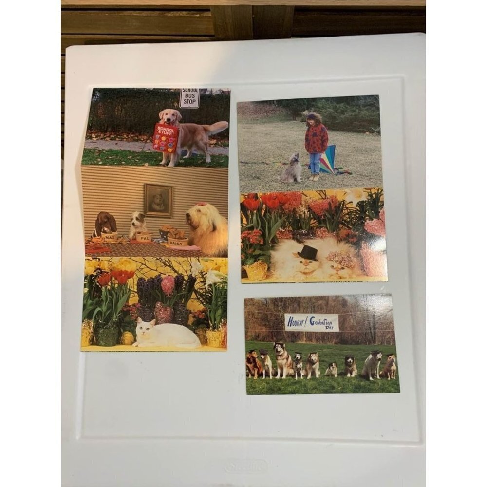 Vintage Lot of 6 Postcards Stationary 90s Y2K Pets Flowers
